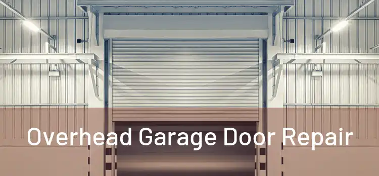  Overhead Garage Door Repair 